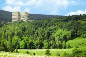 Apartments home Panoramic, Hohegeiß